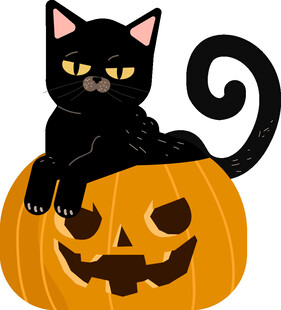 黑猫趴南瓜