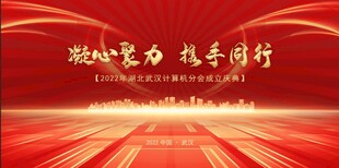 会议背景