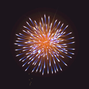 夜空中绽放的绚丽烟花