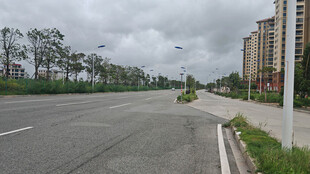 空旷道路旁的林立高楼