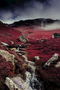 红色荒野中的潺潺溪流