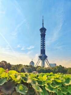 石家庄电视塔