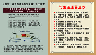 气血温通养生仪