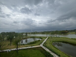 阴天中的湿地景观