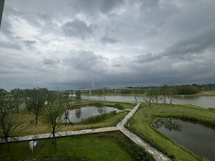 阴天乡村湿地景观