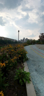 蜿蜒小径旁的多彩花卉景观