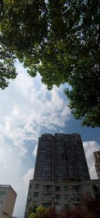 仰视绿树间的高楼大厦