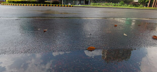 雨后积水路面的倒影