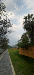 阴天里的户外林荫小道风景