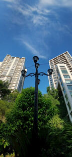 城市绿植间的高楼景观