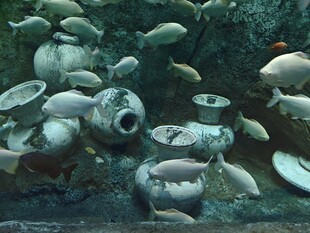 海底古陶器遗迹