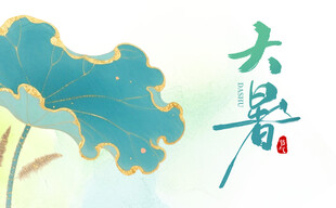 大暑时节的清新荷花图景