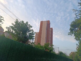 城市中高耸的红色建筑