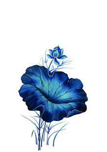 蓝色花卉插画