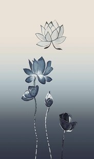 水墨风莲花插画意境美