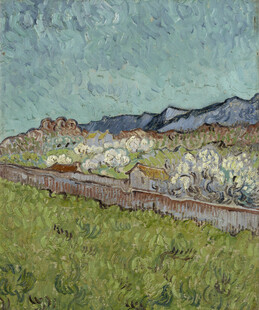 田野间的远山风景
