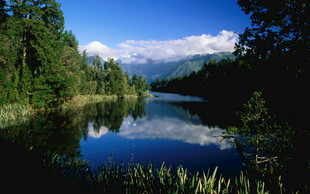 宁静湖畔森林美景