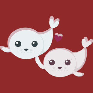 可爱双海豹 萌动爱意浓