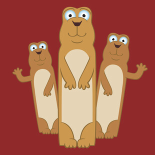 三只可爱土拨鼠