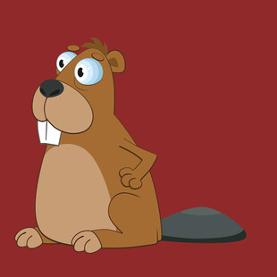 可爱海狸坐在红背景前