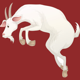 跃起的白山羊