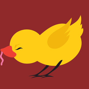 小黄鸡啄食蚯蚓画面