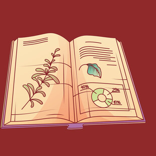 翻开的植物标本插画书