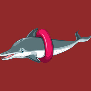 戴粉色圈的可爱海豚