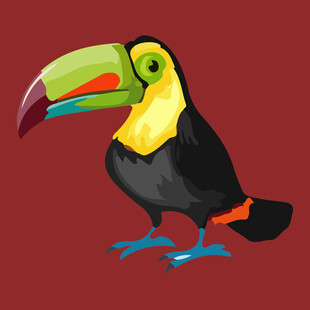 色彩斑斓的巨嘴鸟插画