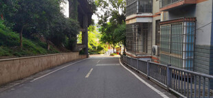 宁静街道旁的建筑风景