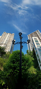 城市中绿树掩映的高楼