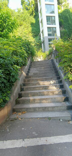 绿意环绕的户外石阶