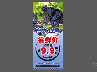 户太八号