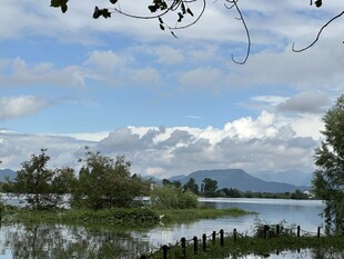 湖畔风光 自然景致如画