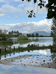 湖畔风光 宁静自然美景