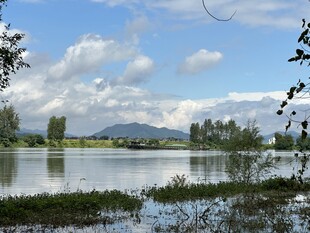 湖畔风光 远山近水绿意浓