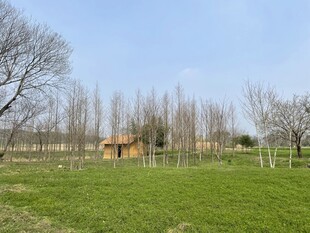 田园草地中的小屋