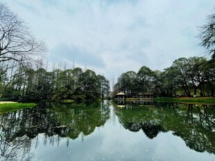 宁静湖畔的自然倒影美景