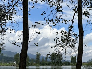 林间湖畔风景