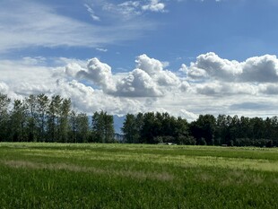 广袤绿野与蓝天白云美景