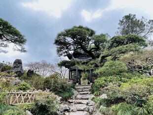 日式园林景观中的古朴小径