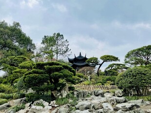 中式园林景观中的古典建筑