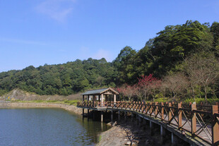 湖畔木桥风景