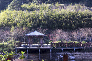 湖畔凉亭 山水相依景致美