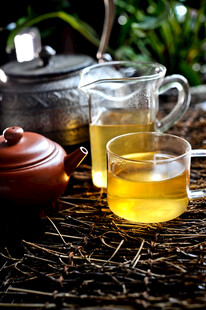 茶汤 泡茶