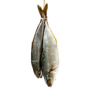 海鱼