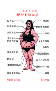 一张图告诉你肥胖的危害
