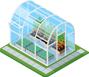 透明温室模型展示植物种植
