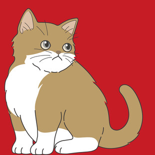 可爱坐姿猫咪插画