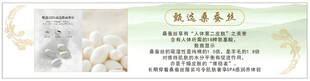 桑蚕丝 丝绸海报